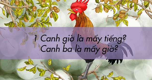 1 canh là mấy giờ