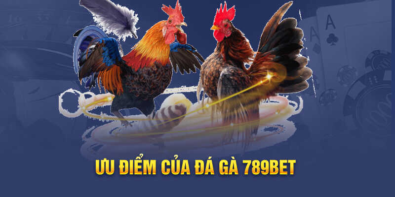 Ưu điểm của Đá gà 789bet