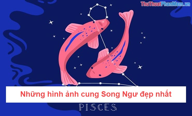ảnh cung song ngư