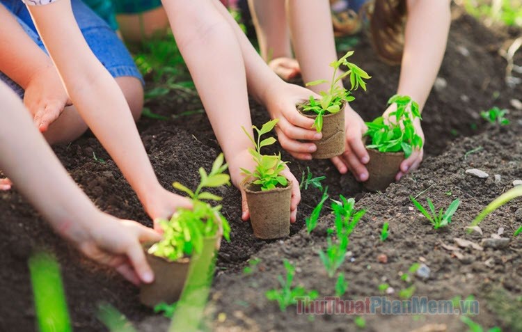 ảnh về môi trường