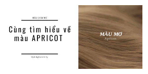 Apricot là màu gì