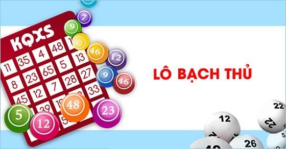Bạch thủ lô là gì