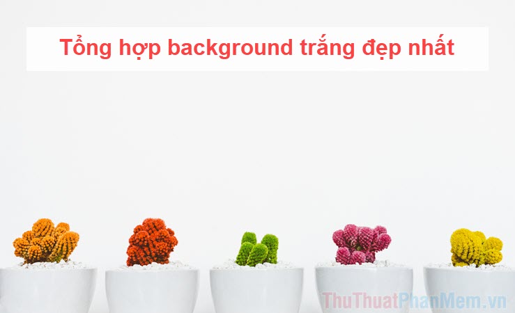 Background trắng sang trọng