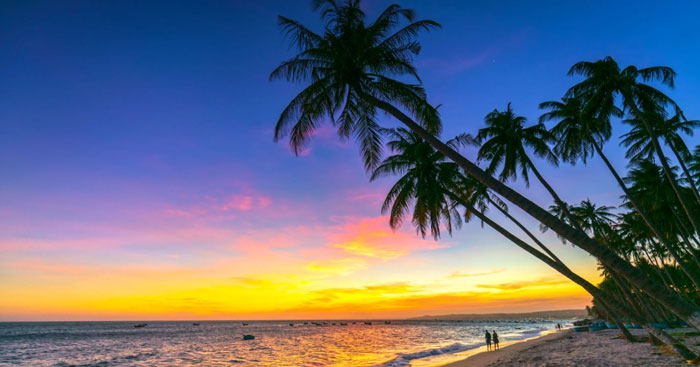 Bài văn tả cảnh biển