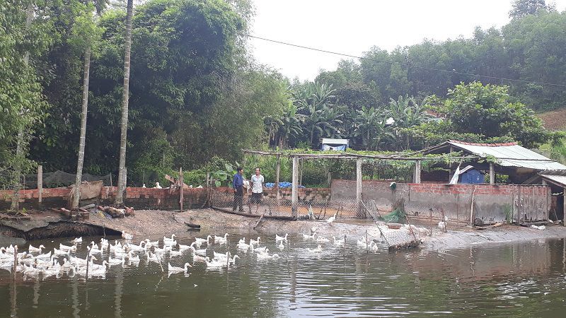 Bản vẽ mô hình vườn ao chuồng