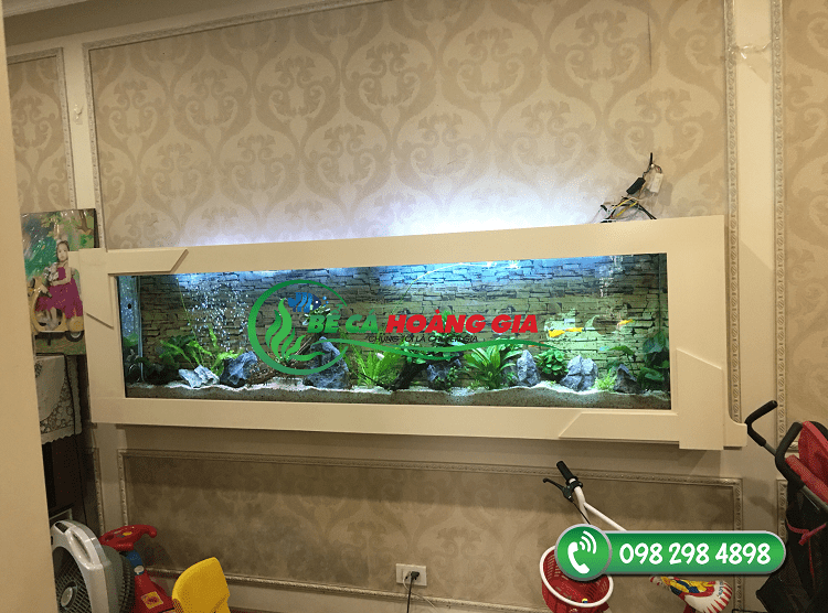Bể cá treo tường