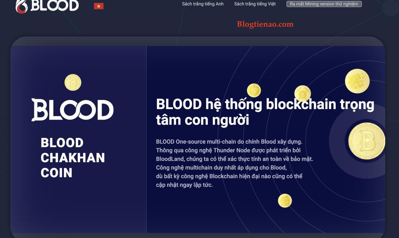 Blood wallet là gì