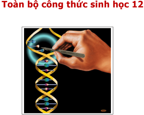 Các công thức adn