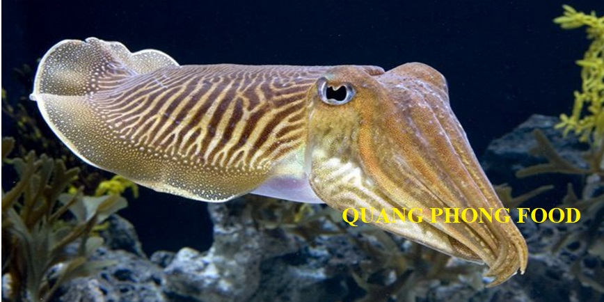 Cách làm mực mai