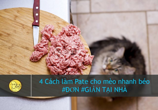 Cách làm pate mèo