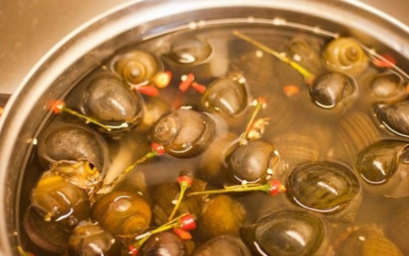 Cách ngâm ốc sạch