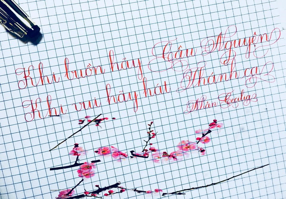 Cách viết chữ t hoa