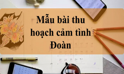 Mẫu bài thu hoạch cảm tình Đoàn và hướng dẫn cách viết - DYB