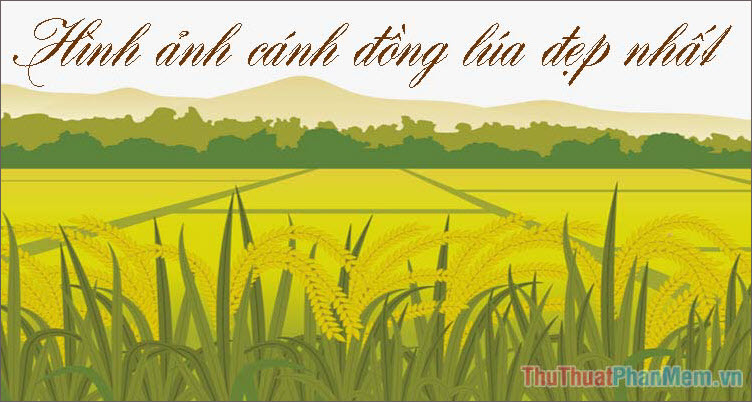 Tranh đồng quê vẽ cánh đồng lúa chín vàng  tranh phong thủy