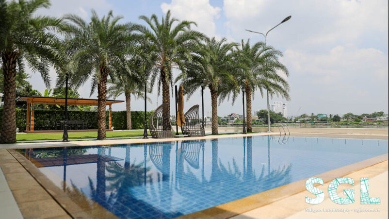 Cây trang trí sân vườn