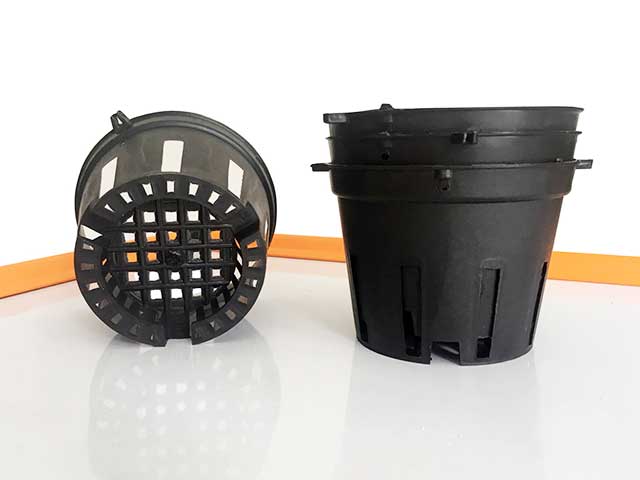 Chậu trồng lan hồ điệp