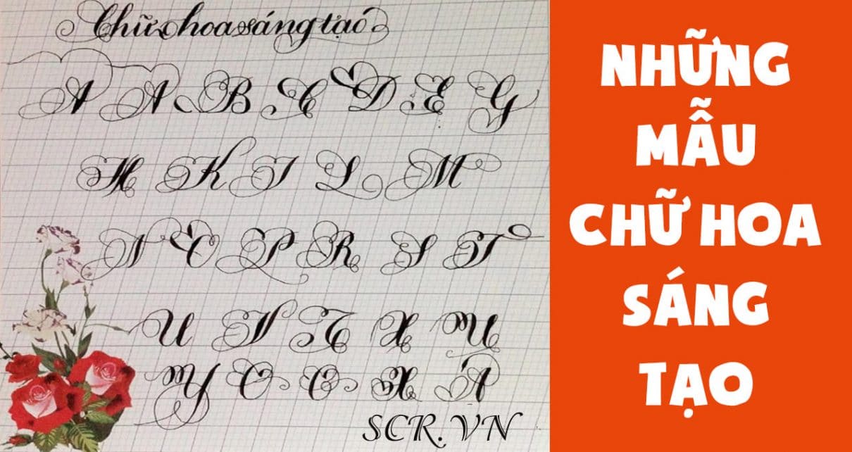 Chữ b hoa sáng tạo