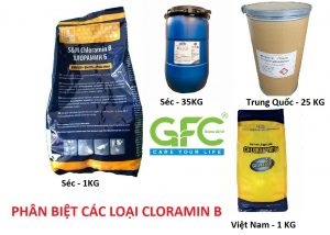 Cloramin b mua ở đâu
