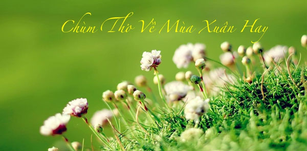 đề tài mùa xuân