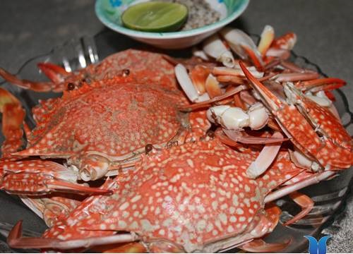 Ghẹ lông là ghẹ gì