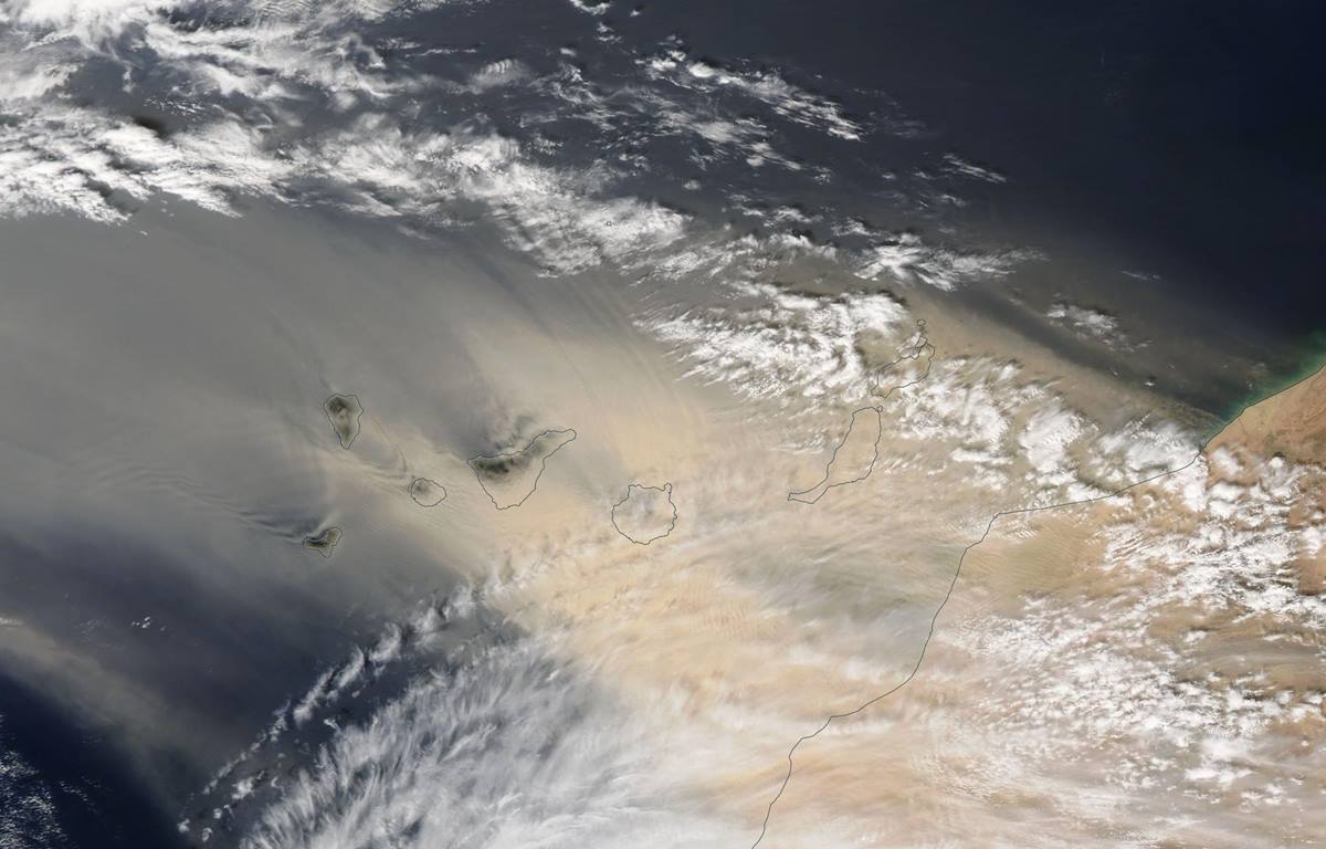 Gió mậu dịch là gì