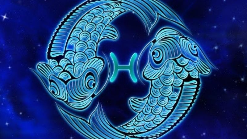 Hình cung song ngư