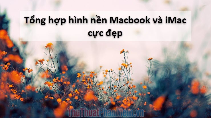 Hình nền macbook đẹp