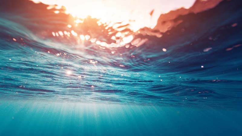 Hình xăm hợp mệnh thủy