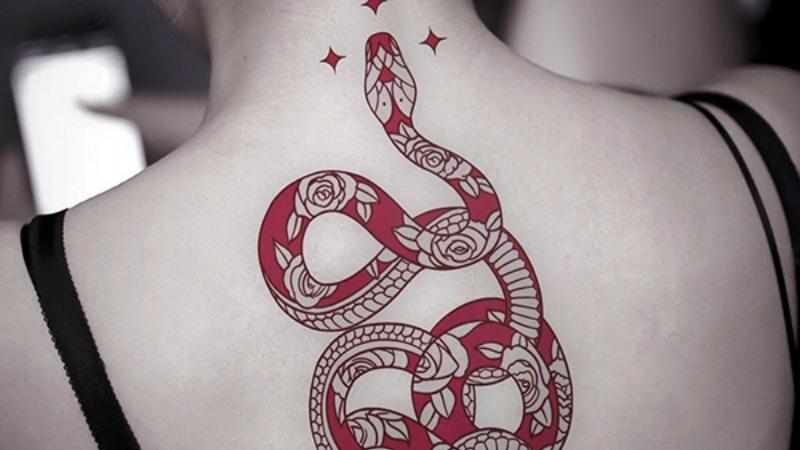 Hình xăm con rắn chưa bao giờ lỗi mốt. Từ thời cổ đại đến hiện đại, con rắn luôn được coi là biểu tượng của sự kiên nhẫn và sức mạnh. Hãy thể hiện sự cá tính của bạn với một hình xăm rắn độc đáo và sắc nét.