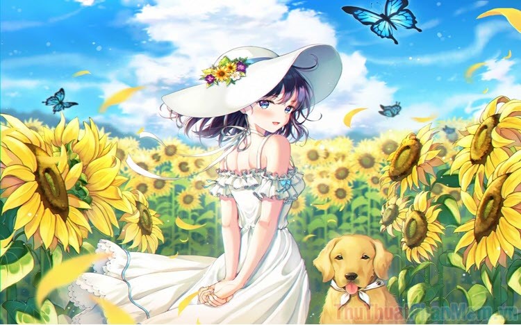 Hoa hướng dương chibi cute