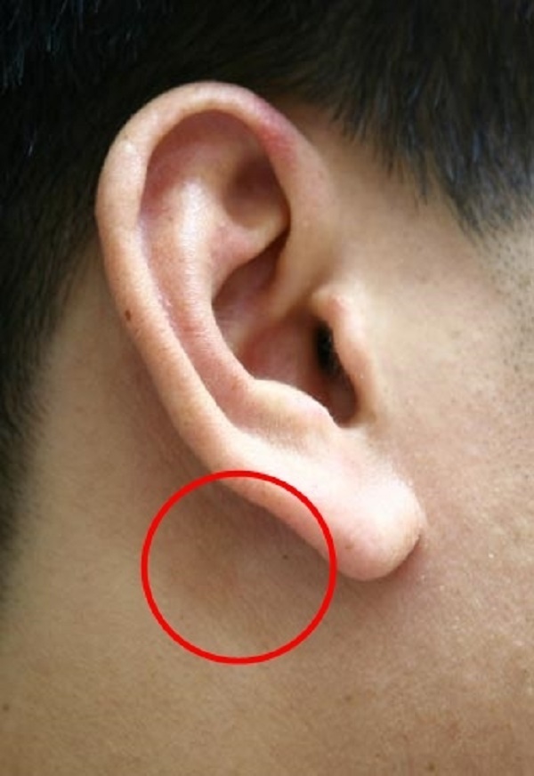 Huyệt dương minh