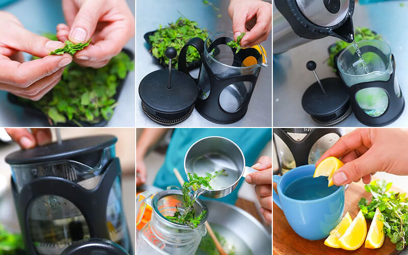 Lá bạc hà tươi