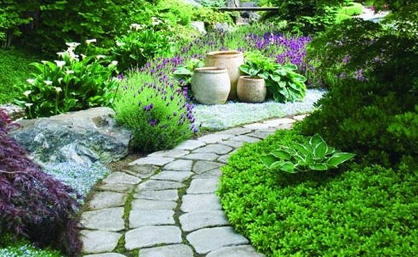 Lối đi sân vườn