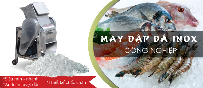 Máy xay nước đá