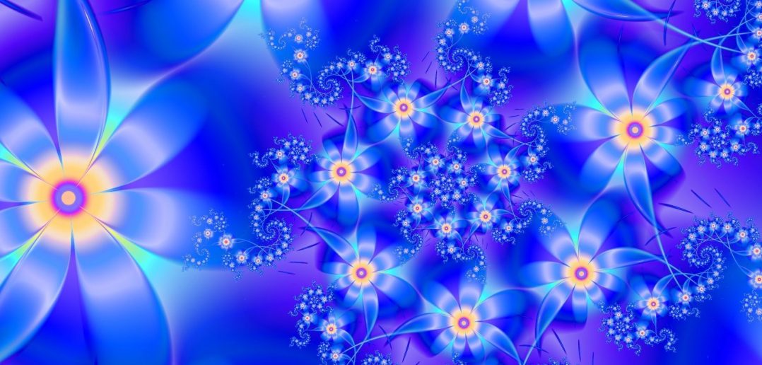 Mệnh vô chính diệu