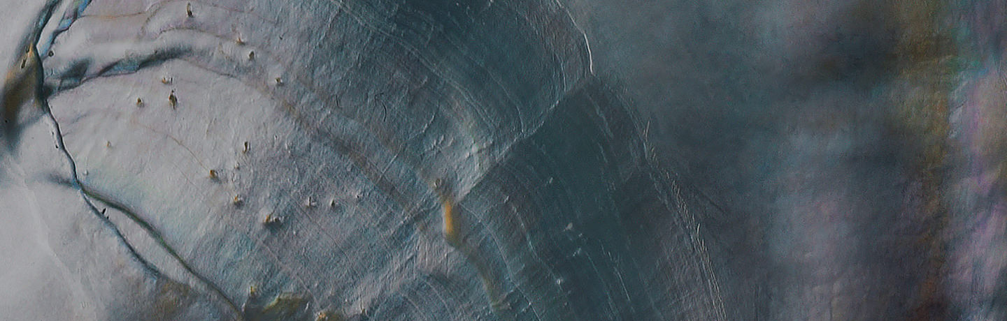 Mother of pearl là gì