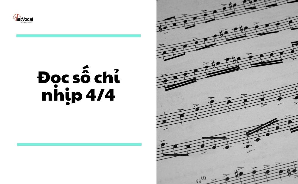 Nhịp 4 4 là gì