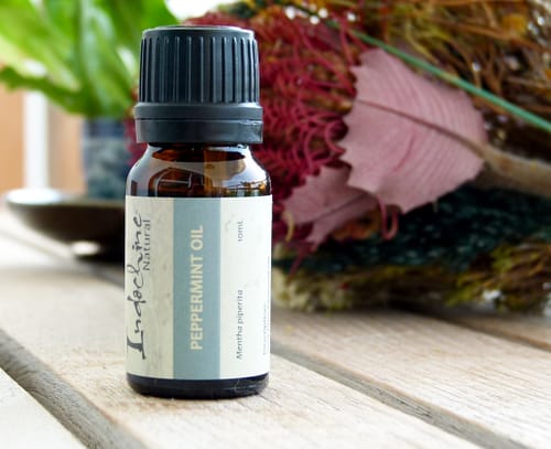 Peppermint essential oil là gì