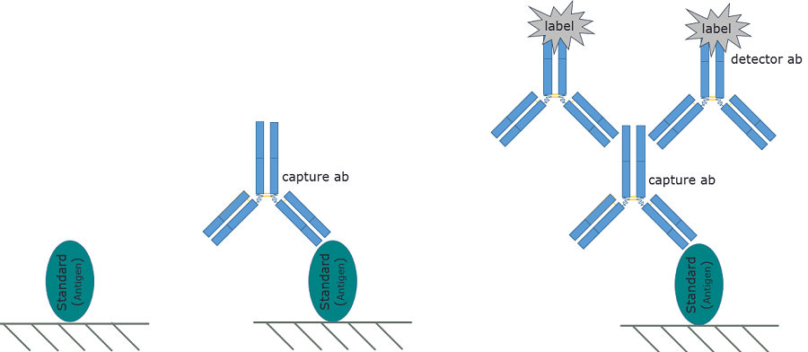 Phản ứng elisa