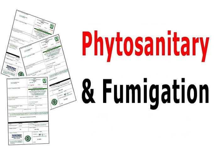 Phytosanitary certificate là gì