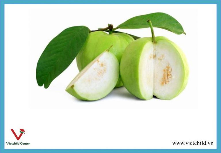 Quả ổi tiếng anh là gì