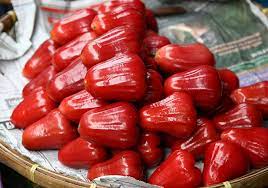 Quả roi tiếng anh là gì