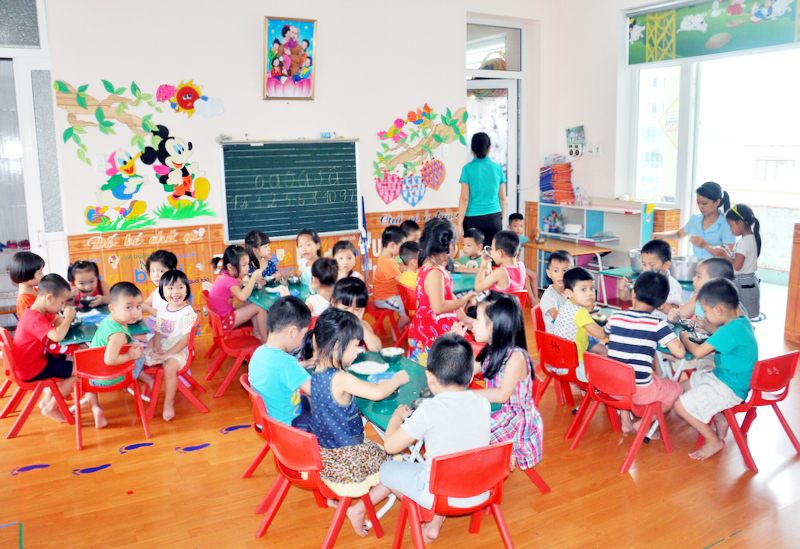 Quản lý trường mầm non