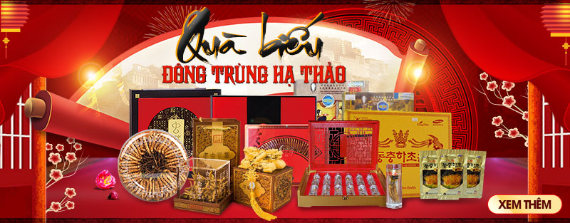 Sâm nhung quế phụ