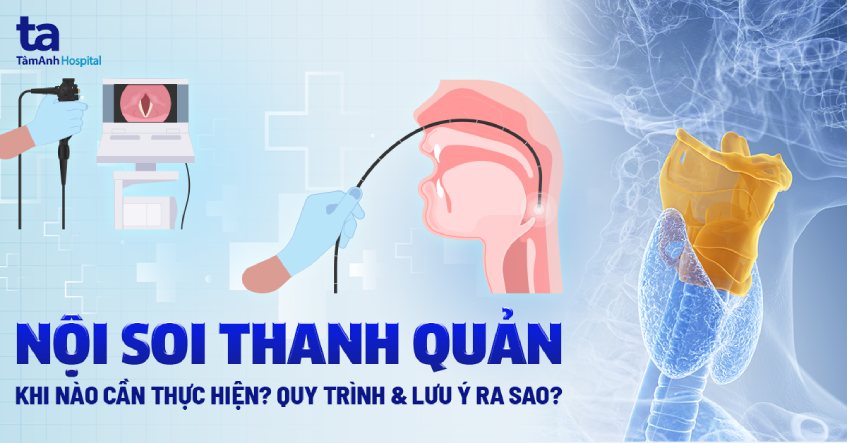 Thanh quản nằm ở đâu