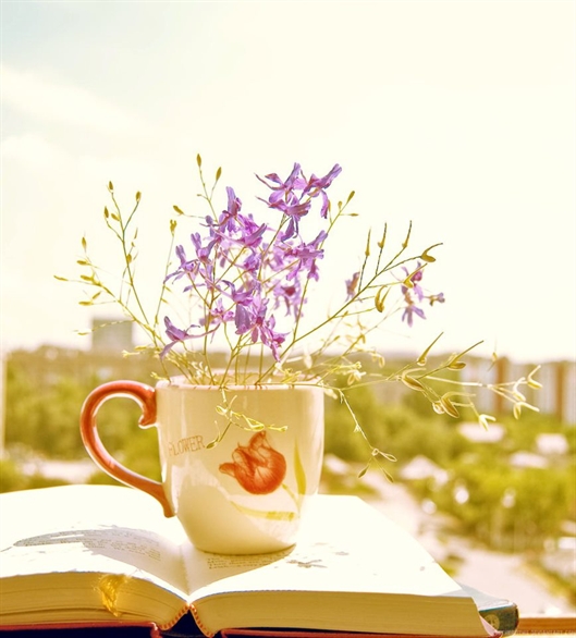 Thuật ngữ đam mỹ