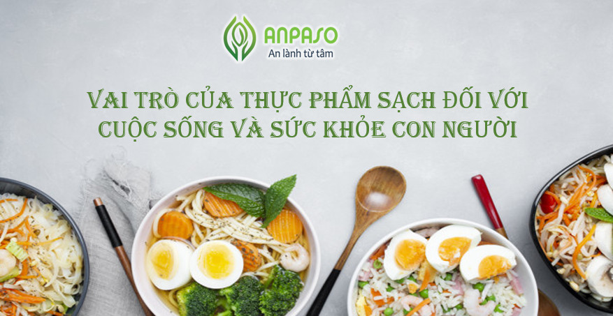 Thực phẩm sạch la gì
