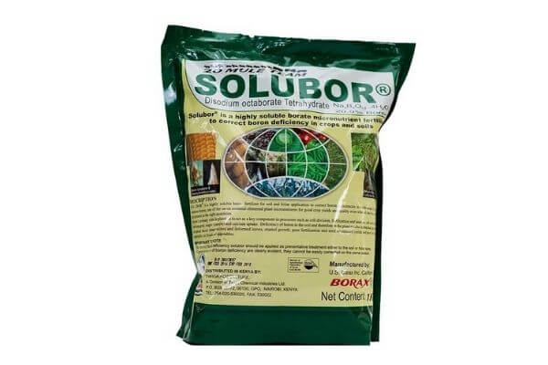 Thuốc kích ra hoa