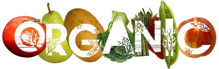 Tiêu chuẩn organic là gì