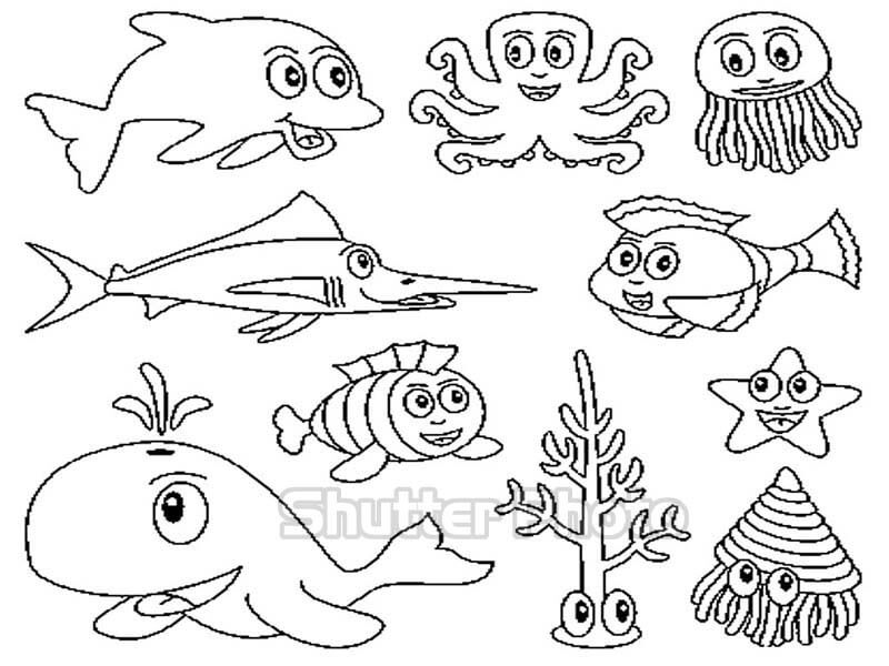 19 Tranh tô màu động vật dưới biển dễ thương  Động vật Dễ thương Vật